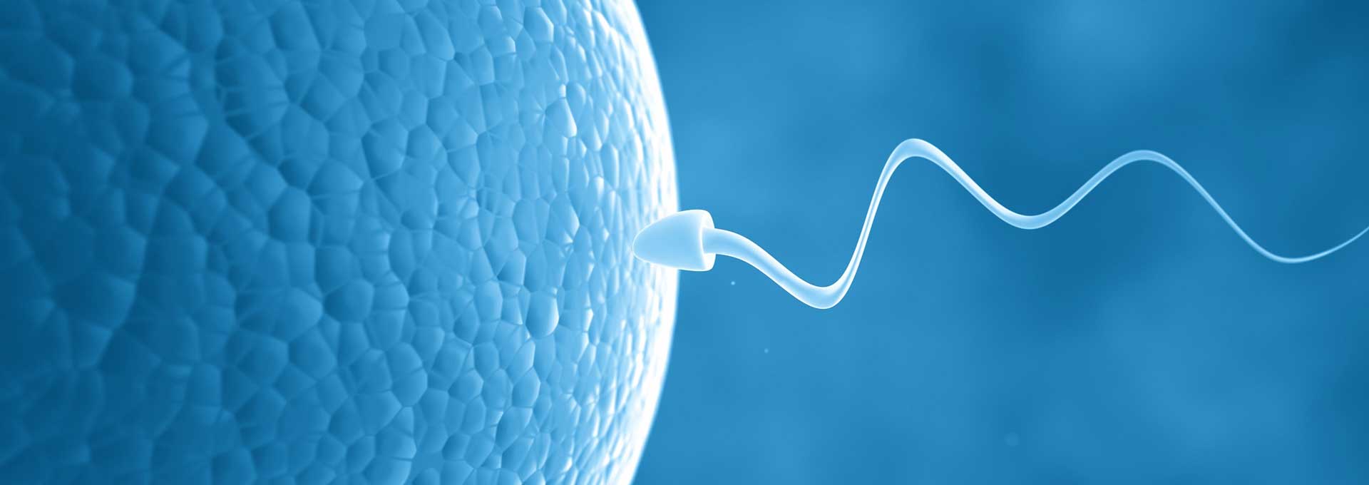 Sperm Donation Mumbai